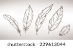 collection of feathers. | Shutterstock .eps vector #229613044