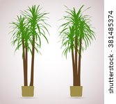 palm. color planting of... | Shutterstock .eps vector #381485374