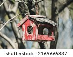 A small birdhouse in spring....