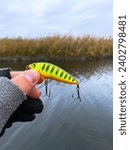 Small photo of Fisherman next to a small river holding a colourful bait in his hand. A fisherman holds a multicolored wobbler in his hands in close-up. The concept of catching predatory fish by spinning.