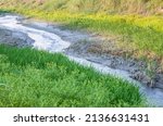 Small photo of Passing water over an almost dried canal in the rural village beside the meadowland