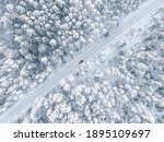 Forest In Snow. Snowy Forest...