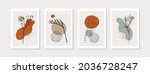botanical wall art vector set... | Shutterstock .eps vector #2036728247