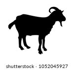 Vector Silhouette Of A Goat...