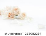 white roses and petals lying down on a white surface. Selective focus.