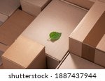 Fresh green leaf laying between cardboard boxes. Shipping deliveries, global trade and environmental impact.