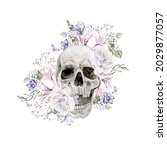 Beautiful Watercolor Skull With ...