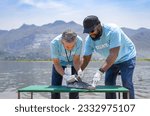 Small photo of volunteers led by a biologist injecting microchips to reproduce fish by the river for conservation of rare fish species that are about to go extinct, natural resources and environmental conservation