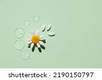 Drops of transparent cosmetic gel with natural chamomile on a green background. Top view, cosmetic product.