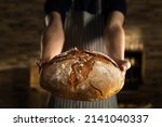 Small photo of Cinematic macro shot of professional artisan baker is showing in camera just prepared fresh whole grains white bread taken out of oven in rustic bakery kitchen.