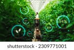 Small photo of Male Bioengineer Inspecting Growth Of Crops On Modern Vertical Farm. Man Cultivates Organic Food or Plants In Technologically Advanced Greenhouse. VFX Infographics Edit Showing Statistics, Data.