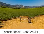 Field of grape vines and sign for wine of Napa Valley California