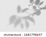 transparent vector shadow of... | Shutterstock .eps vector #1681798657