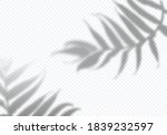 vector transparent shadows of... | Shutterstock .eps vector #1839232597