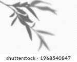 vector transparent shadow of... | Shutterstock .eps vector #1968540847