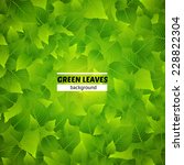 green leaves vector background. ... | Shutterstock .eps vector #228822304