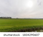 An Agricultural Field In Weesp  ...