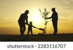 Small photo of father mother child planting tree sunset. family silhouette. three people water plant plant soil sunset. father farmer with shovel digs roots plant into ground park. Agriculture. happy family life.