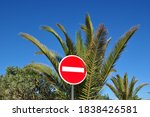 Isolated Red No Entry Road Sign seen against Palm Tree & Blue Sky
