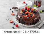Delicious chocolate cake with chocolate glaze and fresh berries on a white plate on a gray concrete background