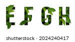 Leaf font e f g h isolated on...