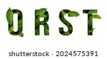 Leaf font q r s t isolated on...