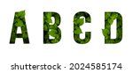 Leaf font a b c d isolated on...