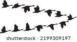V formation of birds silhouette