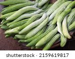 fresh and healthy Snake Gourd stock on shop