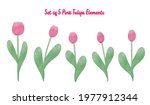 Set Of 5 Pink Tulips Elements...