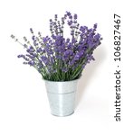 Lavender In Bucket Isolated On...