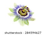 Passion Flower Isolated On White