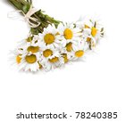 bunch of daisies and empty... | Shutterstock . vector #78240385