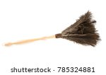 Feather Duster Isolated On White
