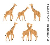 vector set of giraffes in... | Shutterstock .eps vector #2143634961