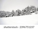 Small photo of Landscape in winter season in village Urdorf in Switzerland under heavy snowfall in January 2021. Trees and bushes on the right hand side are covered with snow and diminishing in perspective.