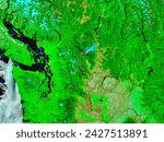 Small photo of Fawn Peak Complex Fire, Washington morning overpass, false color. Fawn Peak Complex Fire, Washington morning overpass, false color. Elements of this image furnished by NASA.