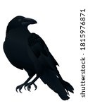 Crow Black Raven Bird Isolated...