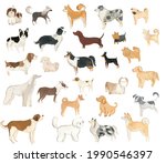 Dogs Illustration Set With Cute ...