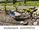 Small photo of A orange and blue grey handbarrow on soil in a garden in sunny bright day