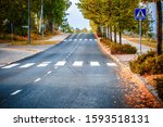 Golden autumn scenics in the town. Highway, pedestrian crossing and road sign. Crosswalk on the street for safety. Trees with orange leaves near road. Ecology and clean fresh air in urban city concept