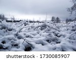 Magical Winter Landscape In The ...