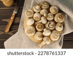 fresh large fragrant champignon mushrooms in a dark kitchen next to a knife and pepper shaker. for labels splash screens menu banners shop signs