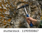 geologist's hand strikes a limestone mossy rock with a geological hammer to take a sample