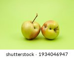Small photo of Two ugly apples with flaws on light green background. Selective focus, copy space. Concept - Food waste reduction. Using in cooking imperfect products.