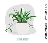 spider plant illustration.... | Shutterstock .eps vector #1940356471