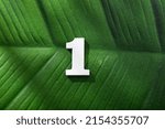 Number 1 (one) over forest tropical leaf