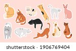 big bundle of stickers with... | Shutterstock .eps vector #1906769404