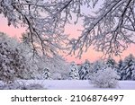 New England Winter Wonderland. Colorful lavender pink sky and trees covered in blanket of fresh white snow. Image captured just before sunset as sky cleared after departing snowstorm.