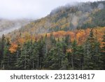 Small photo of Autumn in the White Mountain National Forest. Colorful fall foliage with morning fog lifting from steep mountainside in Kinsman Notch, New Hampshire.
